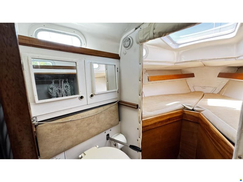 Contessa 32