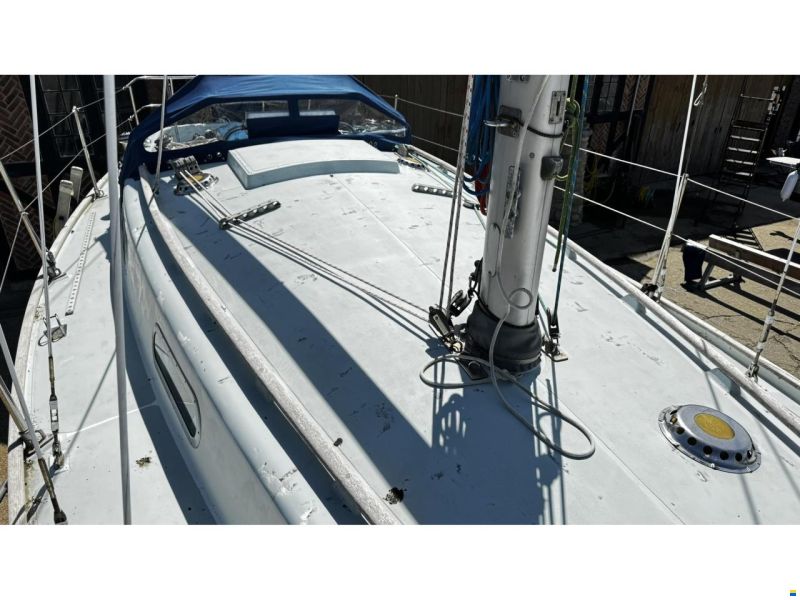 Contessa 32