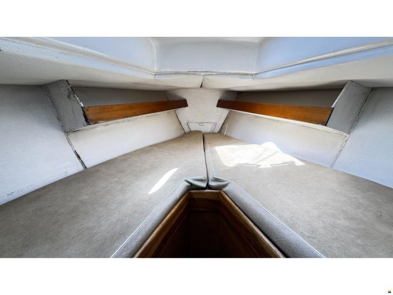 Contessa 32