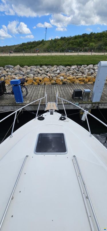 Chaparral 290 Signature