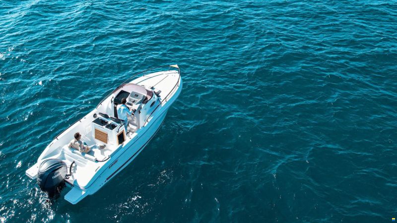 Ranieri Boat sauvage 24