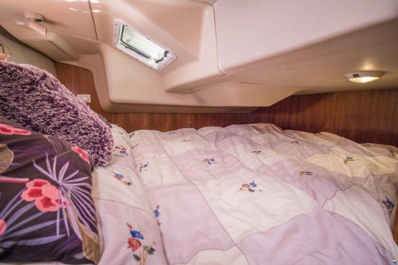 Hunter Marine Sun legend 36