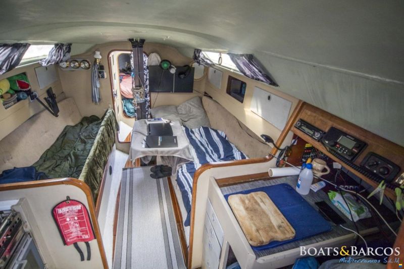 Bostrom B31