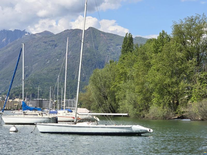 Precision schnelles sportliches Segelschiff