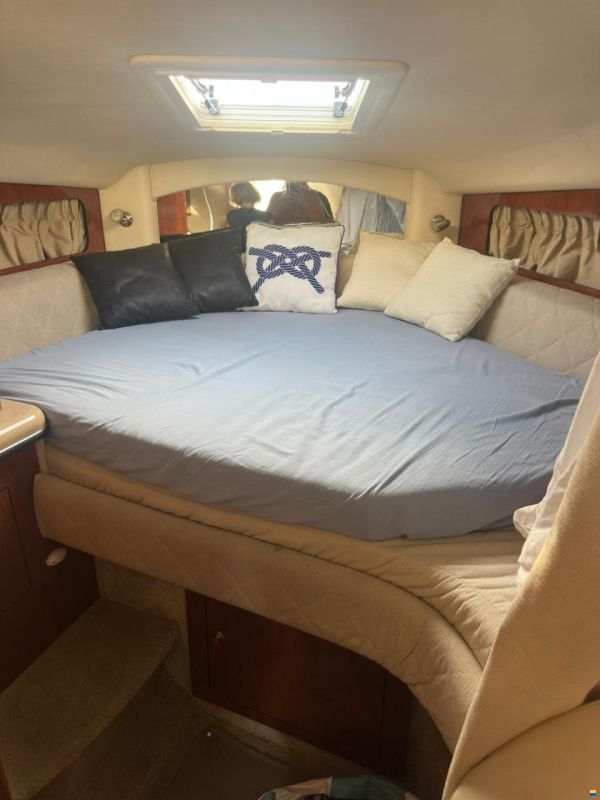 Sea Ray 335 Sundancer