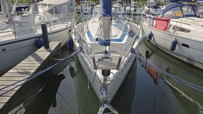 Dynamic 37