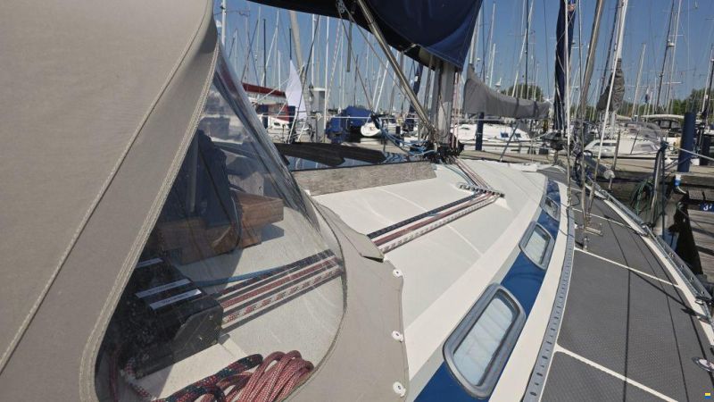 Dynamic 37