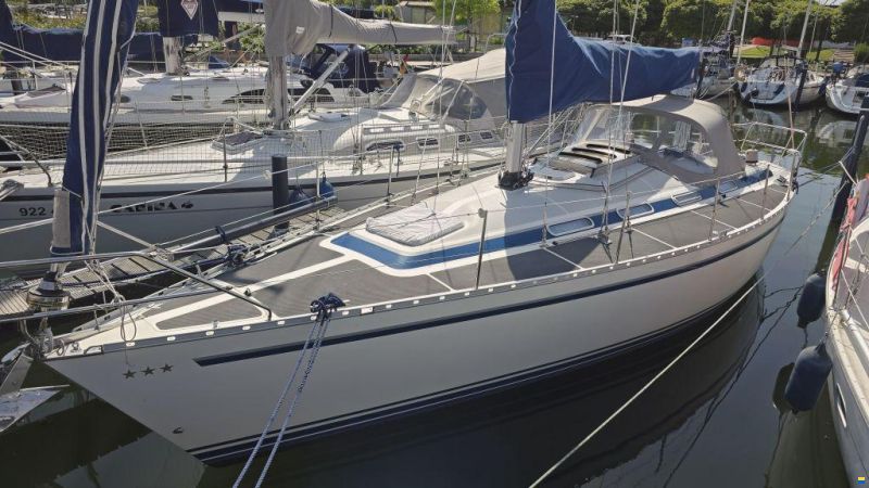 Dynamic 37