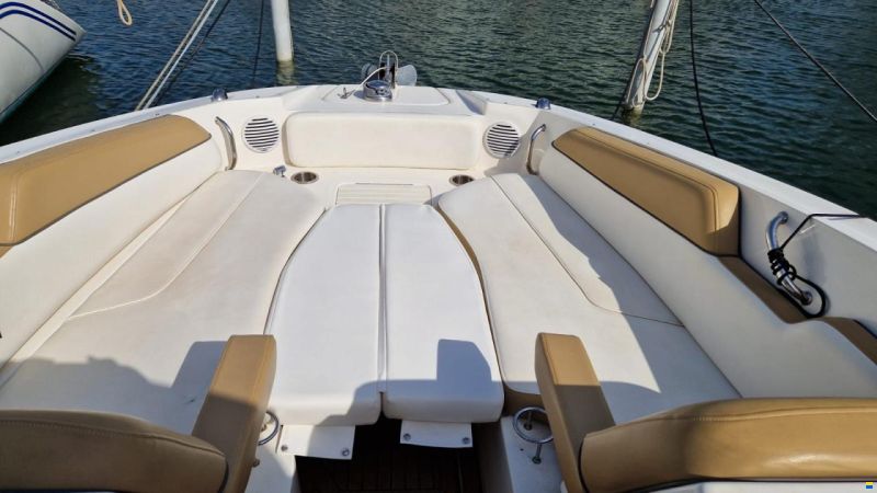 Sea Ray 300 Sundeck