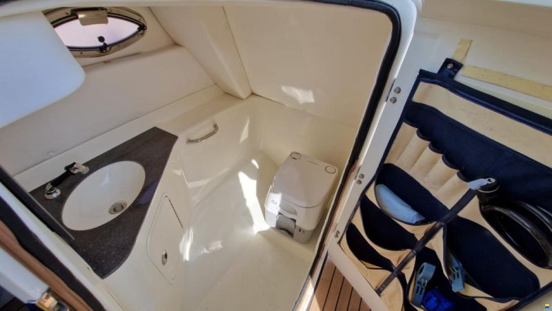 Sea Ray 300 Sundeck
