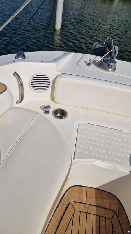Sea Ray 300 Sundeck