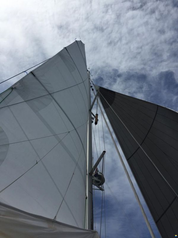 Lagoon 39