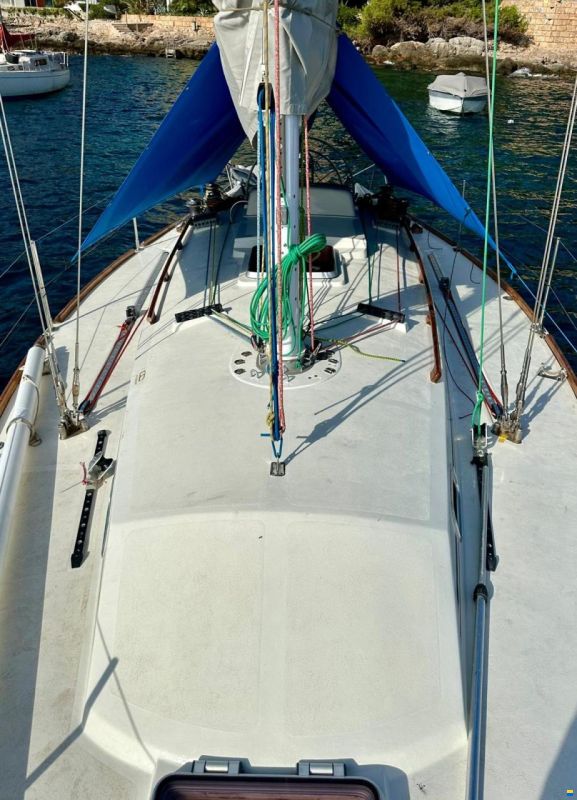 Plenamar 36