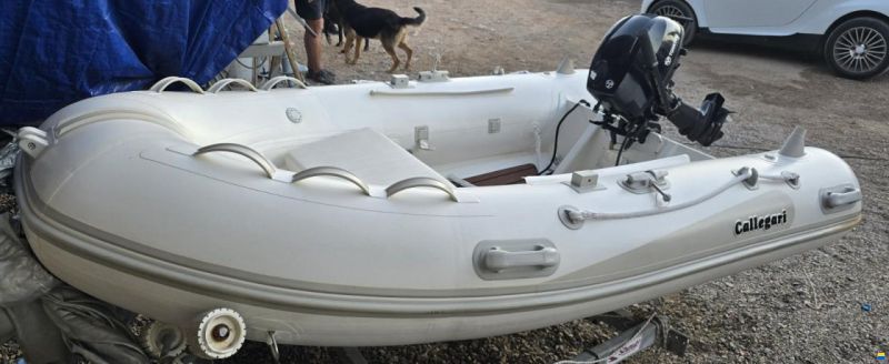 Sea Ray SUNDANCER 425