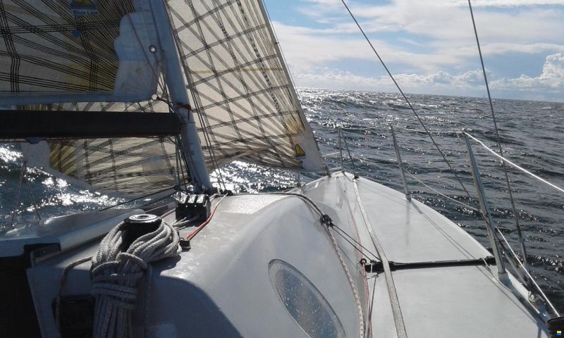 Harp8