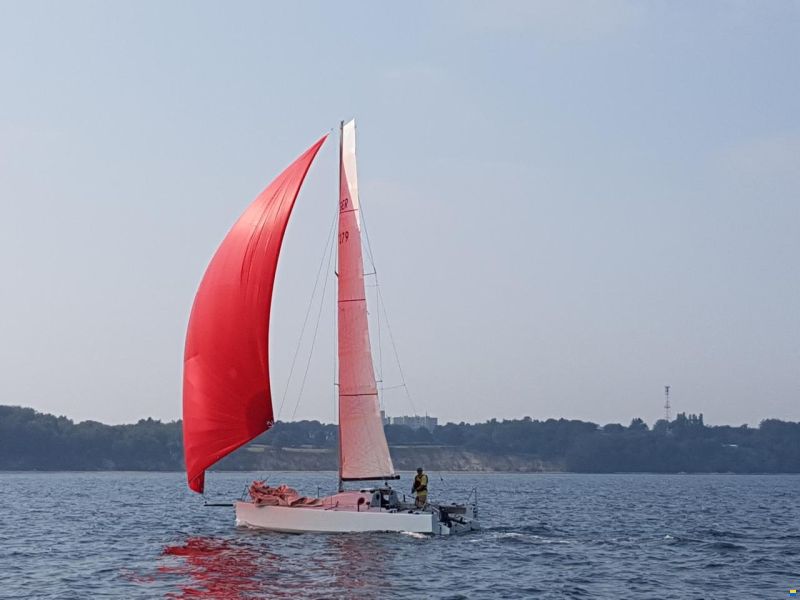 Harp8