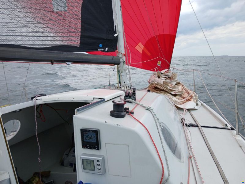 Harp8
