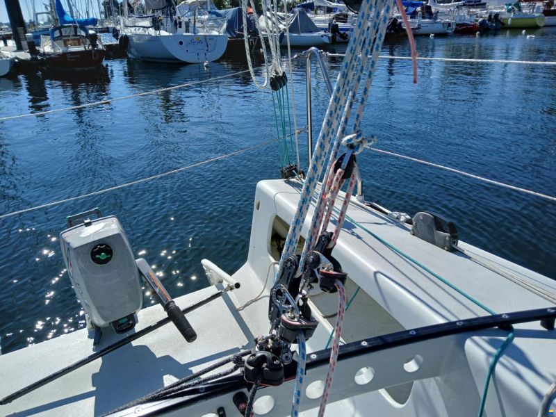 Harp8