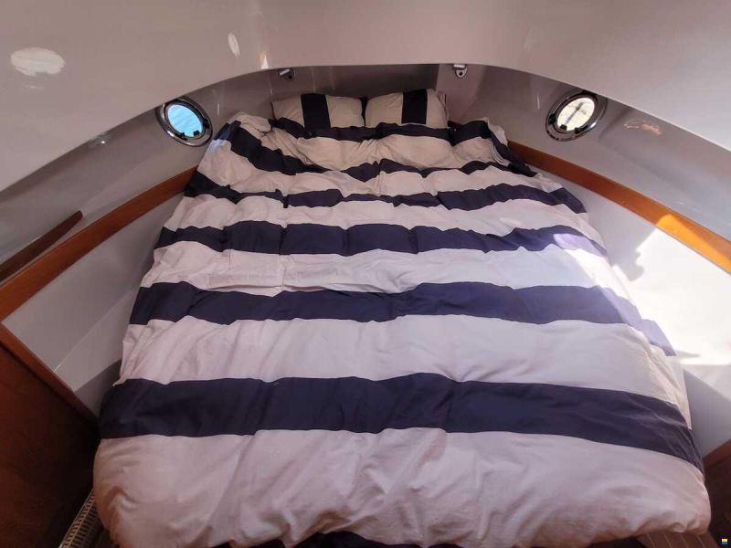 Sargo 36