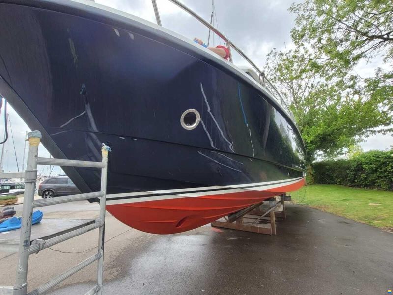 Sargo 36