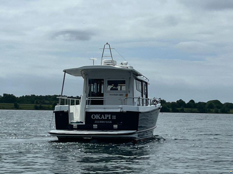 Sargo 36