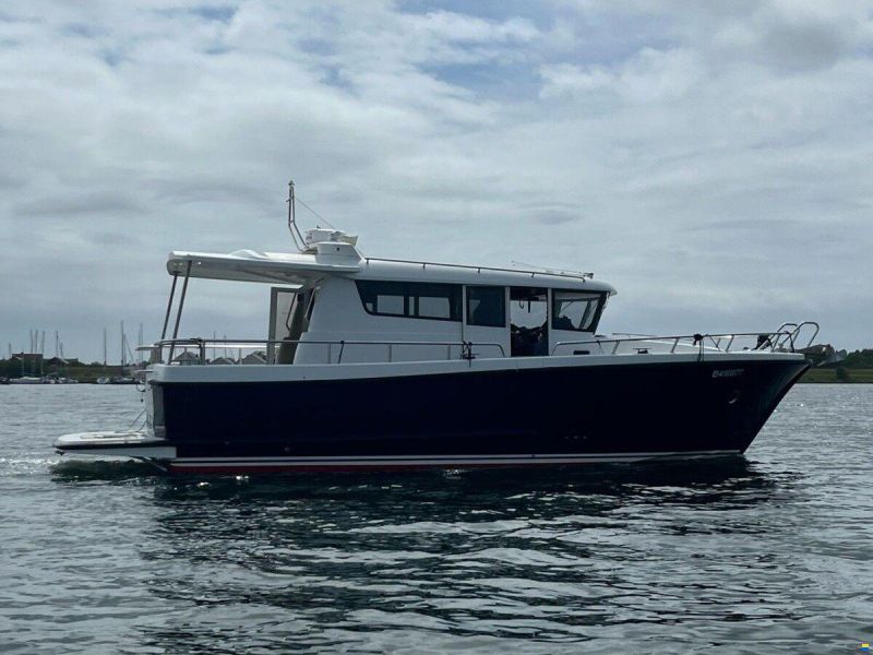 Sargo 36