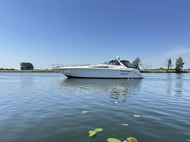 Sea Ray 500