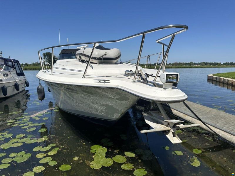 Sea Ray 500