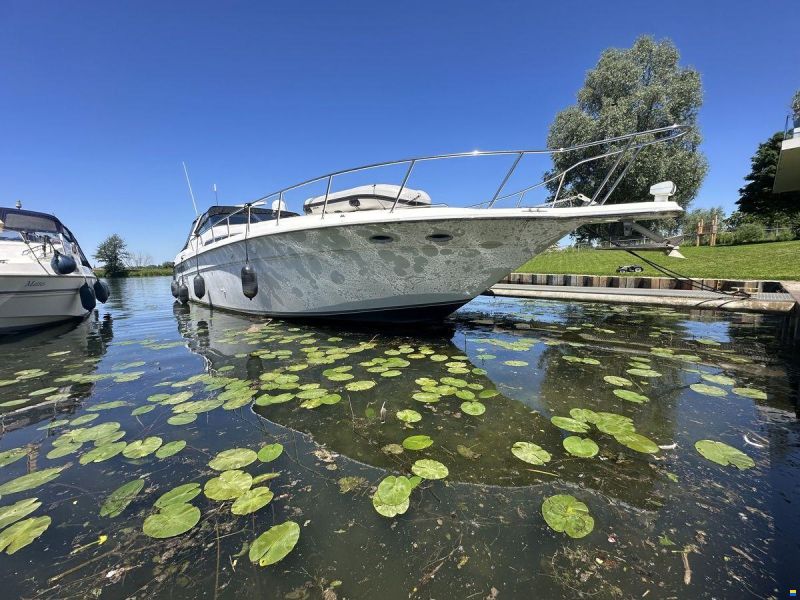 Sea Ray 500