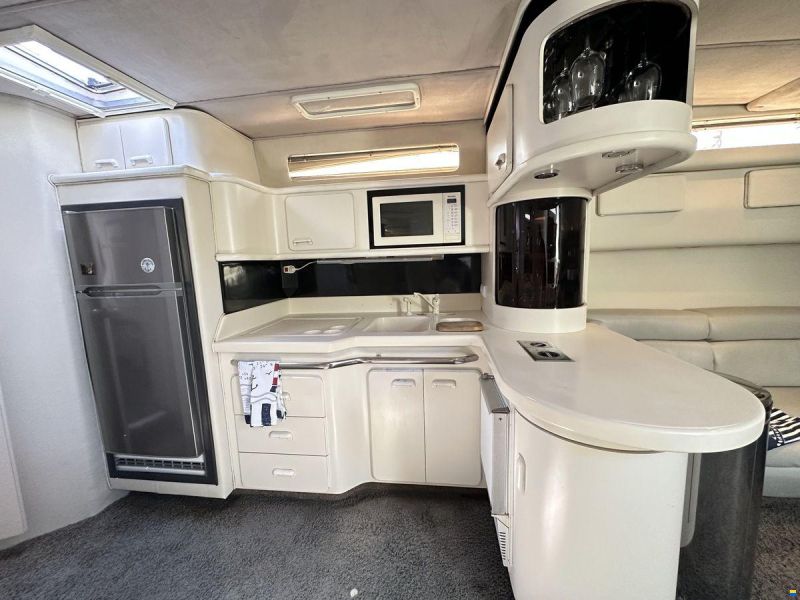 Sea Ray 500