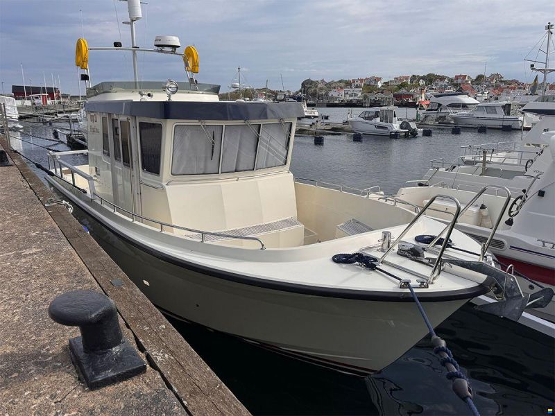 Targa 33