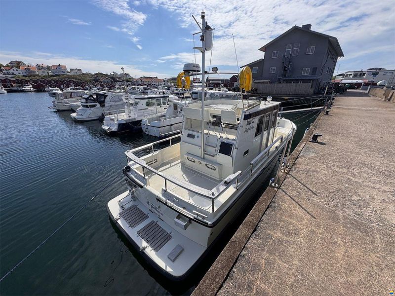 Targa 33