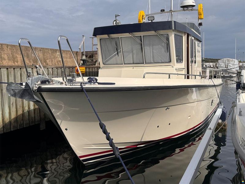 Targa 33