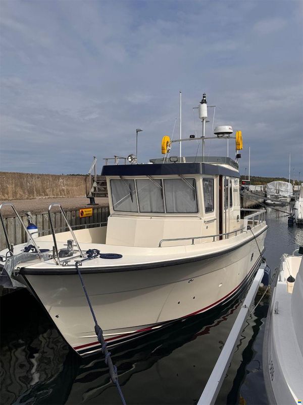 Targa 33