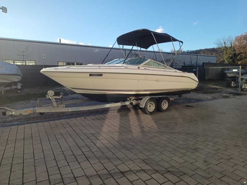 Sea Ray 200 OV