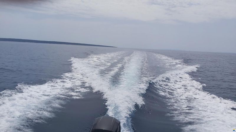 Quicksilver Aktive 605 Cruiser