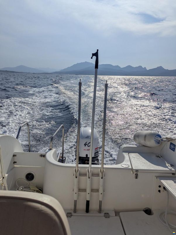 Quicksilver 530 Pilothouse