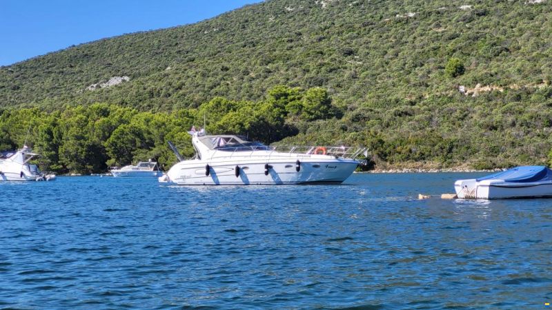 Raffaelli Evo Shamal 40