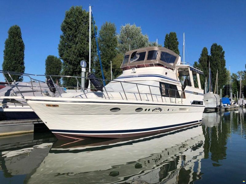 Novamarine Galaxy 40