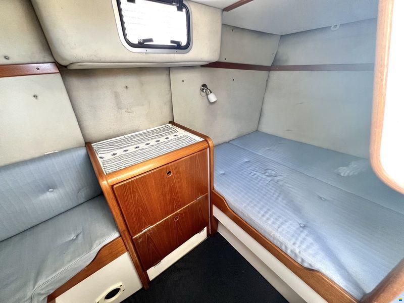 Nimbus Ultima 31