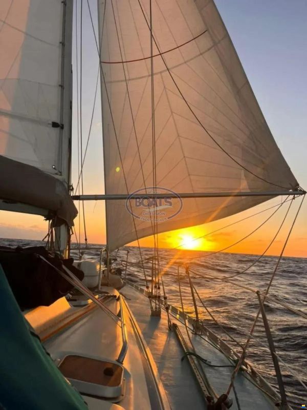 Bavaria 38