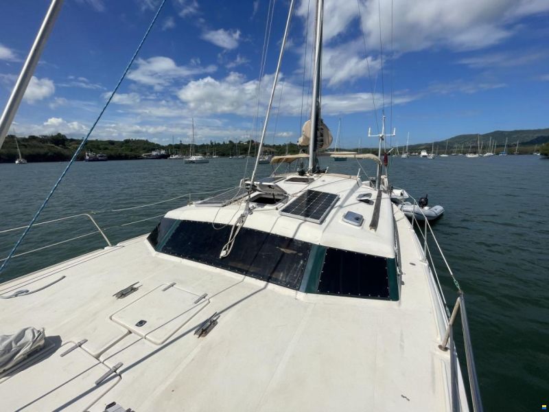 Prout 37 Snowgoose