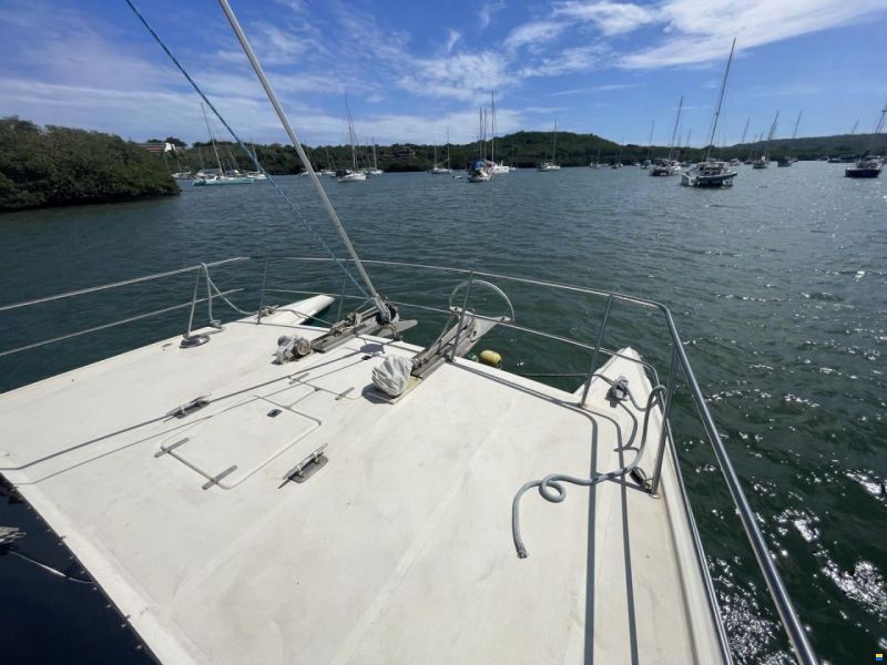 Prout 37 Snowgoose