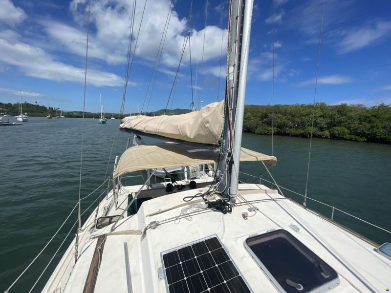 Prout 37 Snowgoose