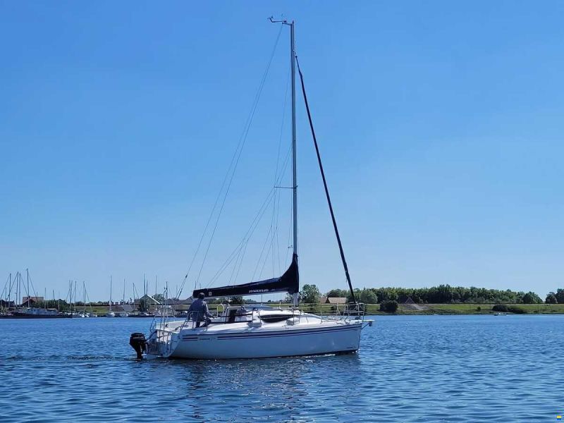 Maxus 24