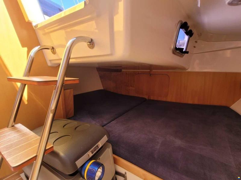 Maxus 24