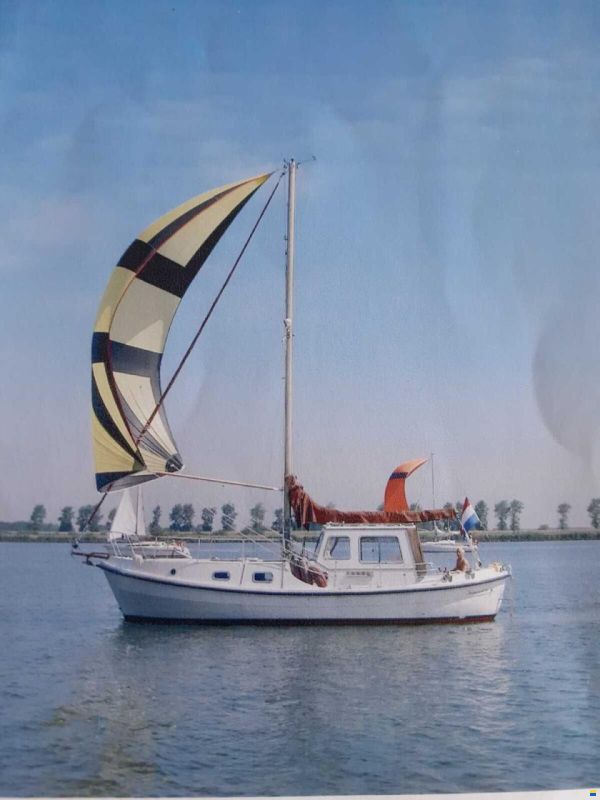 Rogger FD2