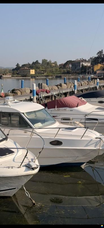 Saver manta 21 Fisher