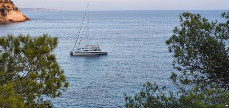 Swiss Catamaran Concept S2C55
