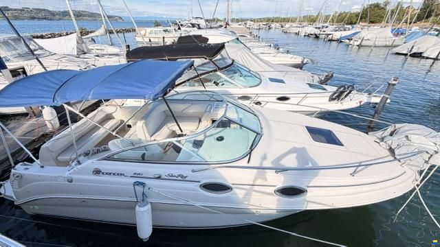 Sea Ray 240 DA